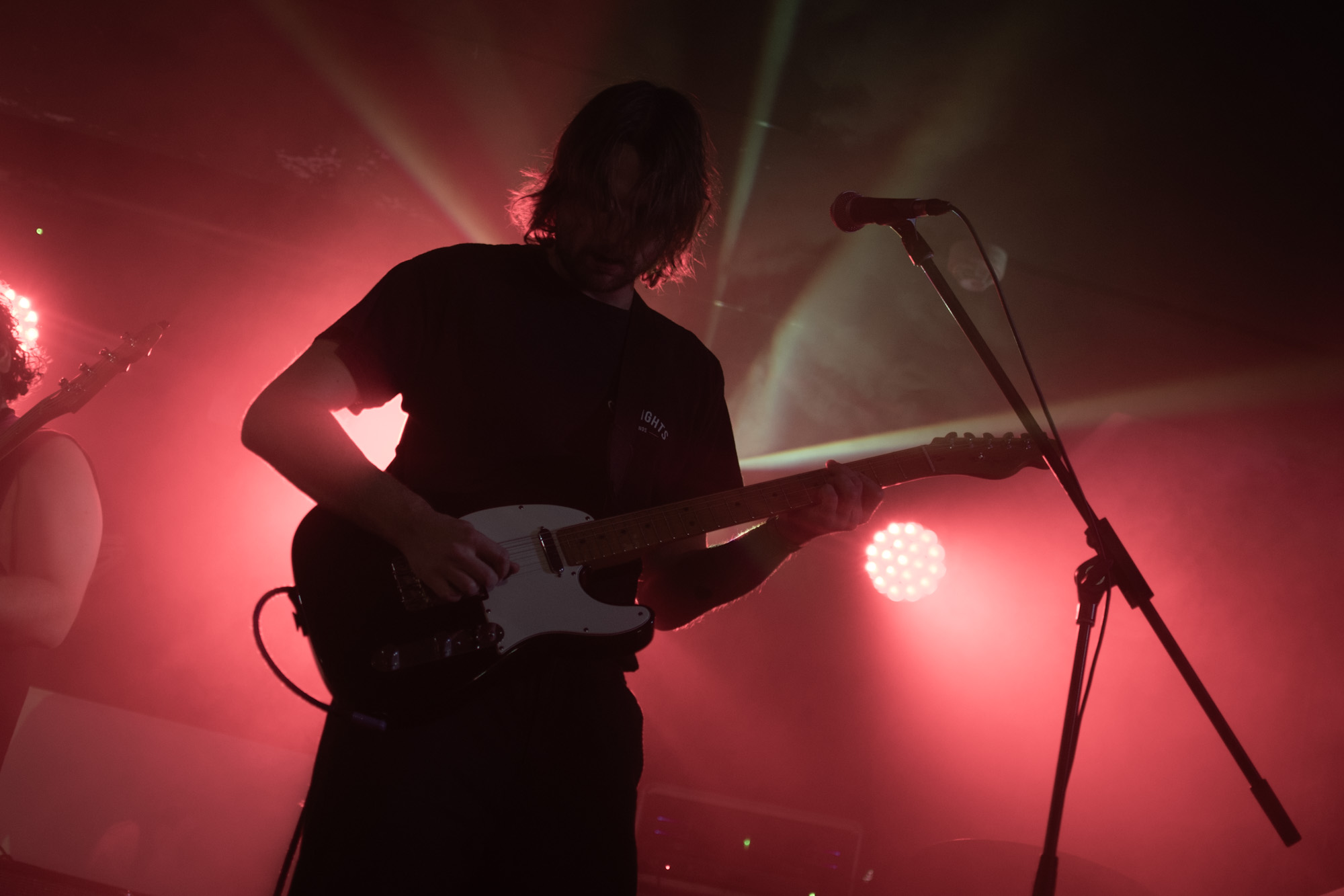 shogun tokugawa1.JPG